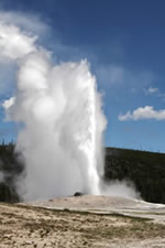 Explore Roadside Nature - Yellowstone NP Old Faithful